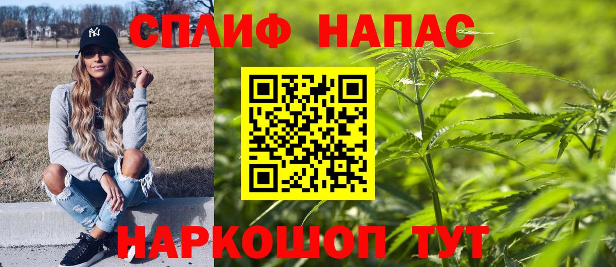 Конопля гибрид  Вход с VPN  Анжеро-Судженск  Конопля сатива  МАРИХУАНА планчик  Шишки марихуана тримм 